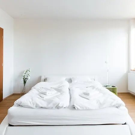 Gorgeous Duplex With Terrace アパート *