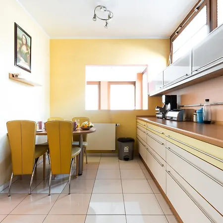 Gorgeous Duplex With Terrace プラハ