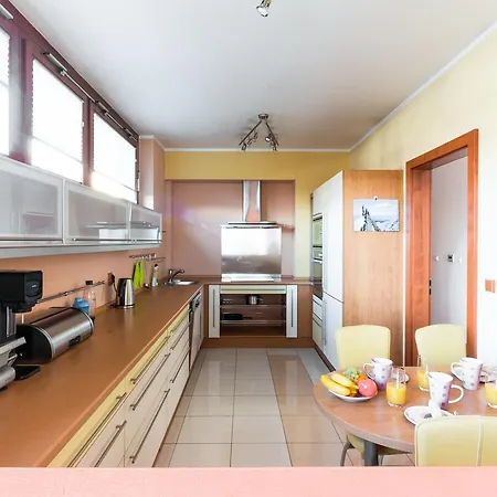 Gorgeous Duplex With Terrace アパート プラハ