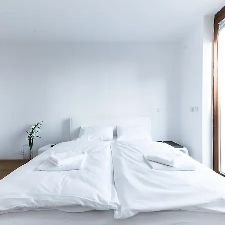 Gorgeous Duplex With Terrace アパート *
