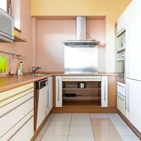 Gorgeous Duplex With Terrace プラハ
